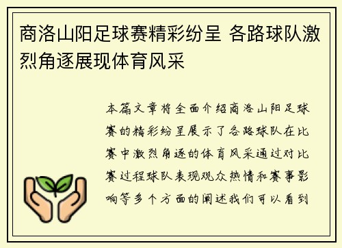 商洛山阳足球赛精彩纷呈 各路球队激烈角逐展现体育风采