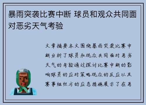 暴雨突袭比赛中断 球员和观众共同面对恶劣天气考验