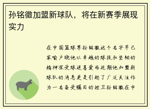 孙铭徽加盟新球队，将在新赛季展现实力