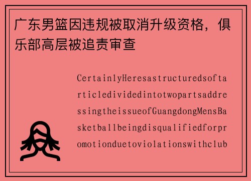 广东男篮因违规被取消升级资格，俱乐部高层被追责审查