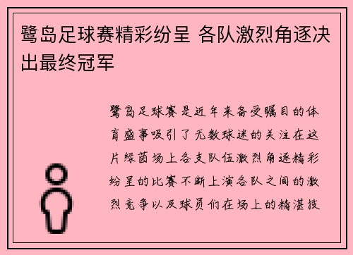 鹭岛足球赛精彩纷呈 各队激烈角逐决出最终冠军