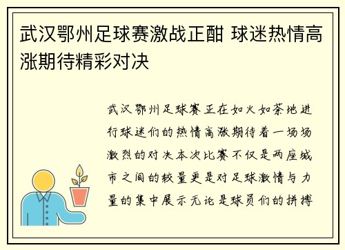 武汉鄂州足球赛激战正酣 球迷热情高涨期待精彩对决