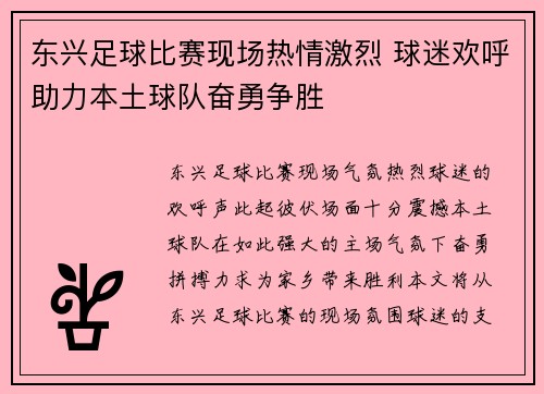 东兴足球比赛现场热情激烈 球迷欢呼助力本土球队奋勇争胜