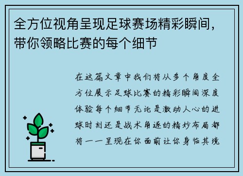 全方位视角呈现足球赛场精彩瞬间，带你领略比赛的每个细节