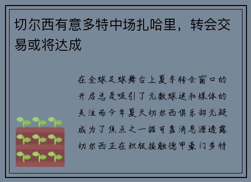 切尔西有意多特中场扎哈里，转会交易或将达成