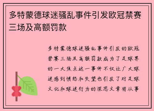 多特蒙德球迷骚乱事件引发欧冠禁赛三场及高额罚款
